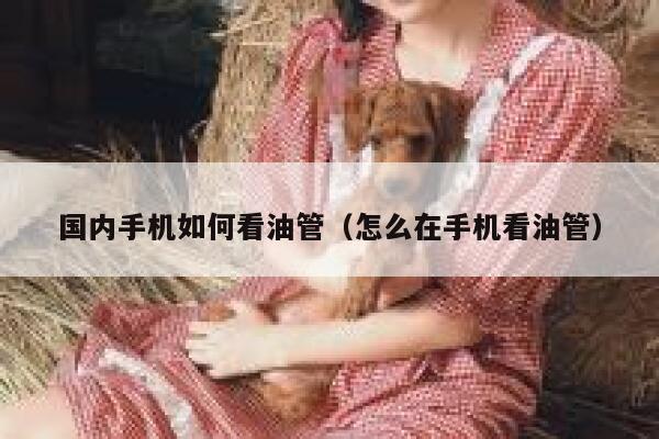 国内手机如何看油管（怎么在手机看油管） 第1张