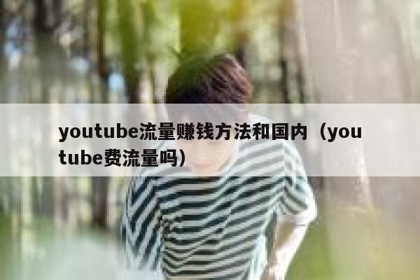 youtube流量赚钱方法和国内（youtube费流量吗） 第1张
