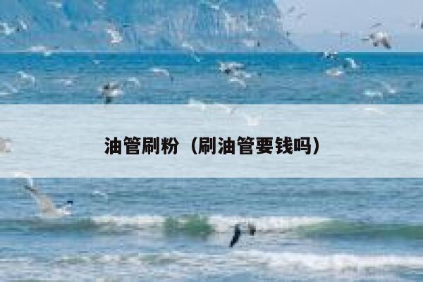 油管刷粉(刷油管要钱吗) 第1张 油管刷粉(刷油管要钱吗) 第1张