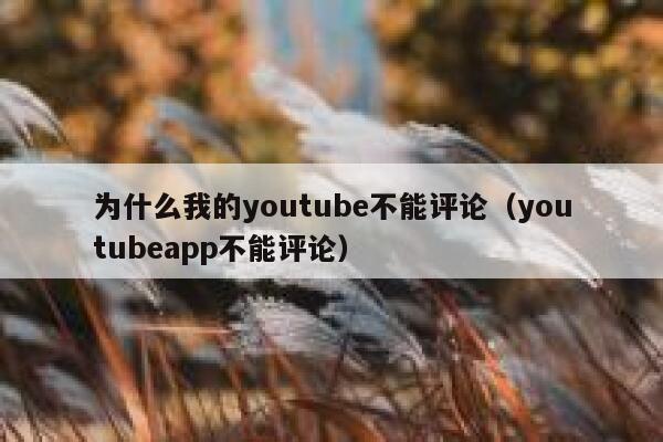 为什么我的youtube不能评论（youtubeapp不能评论） 第1张