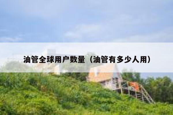 油管全球用户数量（油管有多少人用） 第1张