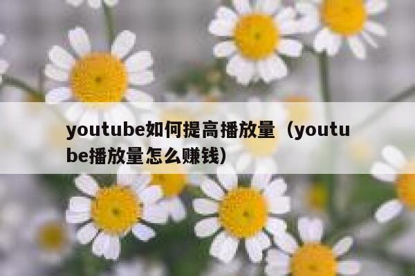 youtube如何提高播放量(youtube播放量怎么赚钱) 第1张 youtube如何提高播放量(youtube播放量怎么赚钱) 第1张