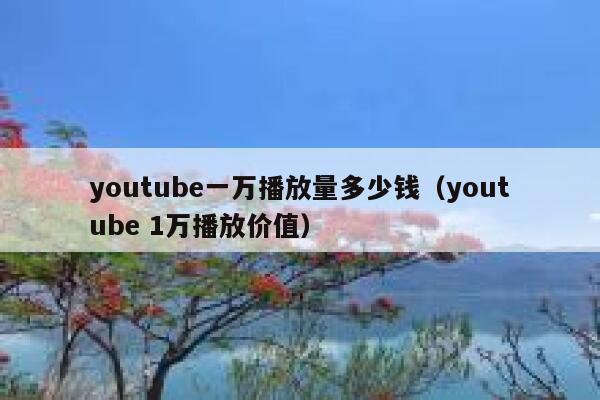 youtube一万播放量多少钱（youtube 1万播放价值） 第1张