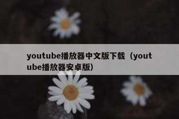 youtube播放器中文版下载（youtube播放器安卓版） 第1张