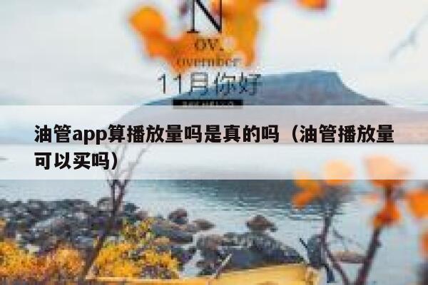 油管app算播放量吗是真的吗（油管播放量可以买吗） 第1张