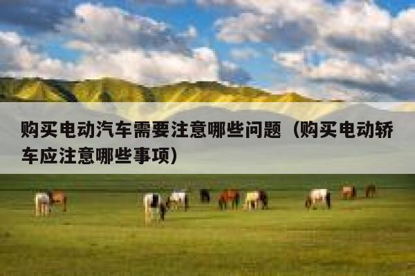 购买电动汽车需要注意哪些问题（购买电动轿车应注意哪些事项） 第1张