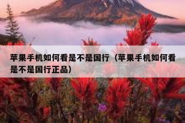 苹果手机如何看是不是国行（苹果手机如何看是不是国行正品） 第1张