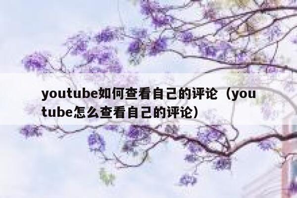 youtube如何查看自己的评论（youtube怎么查看自己的评论） 第1张