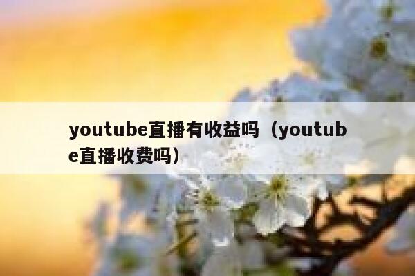 youtube直播有收益吗(youtube直播收费吗) 第1张 youtube直播有收益吗(youtube直播收费吗) 第1张