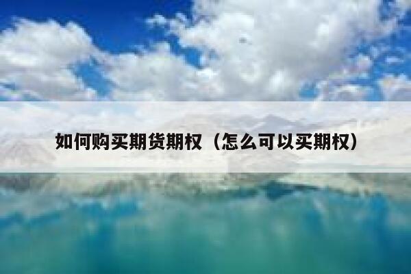 如何购买期货期权(怎么可以买期权) 第1张 如何购买期货期权(怎么可以买期权) 第1张