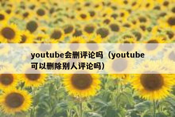 youtube会删评论吗(youtube可以删除别人评论吗) 第1张 youtube会删评论吗(youtube可以删除别人评论吗) 第1张