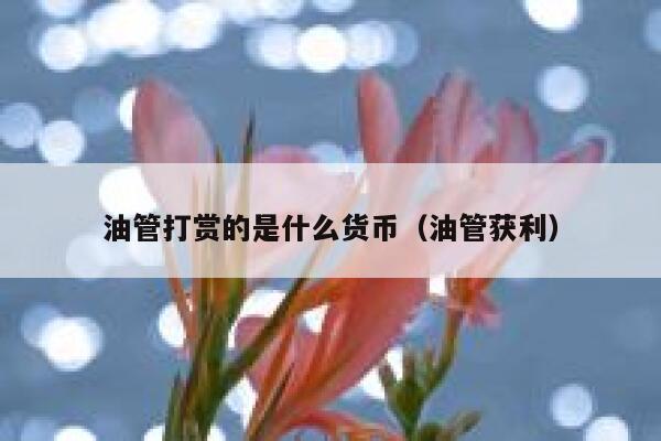 油管打赏的是什么货币（油管获利） 第1张