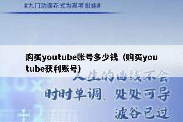 购买youtube账号多少钱（购买youtube获利账号） 第1张