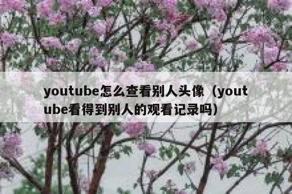 youtube怎么查看别人头像（youtube看得到别人的观看记录吗） 第1张
