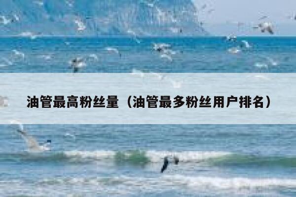 油管最高粉丝量（油管最多粉丝用户排名） 第1张