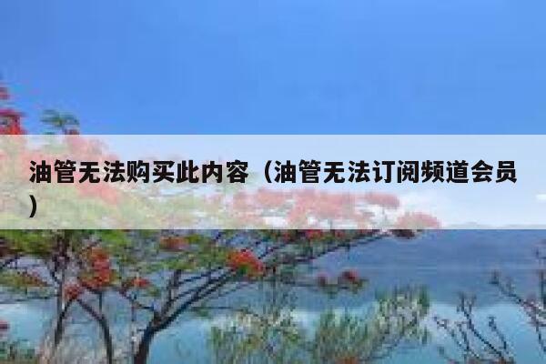 油管无法购买此内容(油管无法订阅频道会员) 第1张 油管无法购买此内容(油管无法订阅频道会员) 第1张