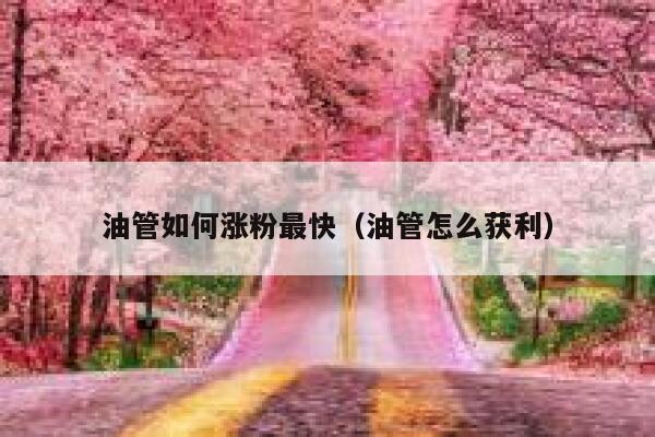 油管如何涨粉最快(油管怎么获利) 第1张 油管如何涨粉最快(油管怎么获利) 第1张