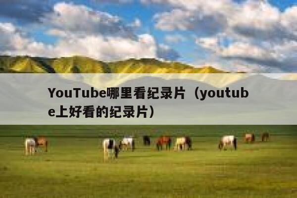 YouTube哪里看纪录片（youtube上好看的纪录片） 第1张