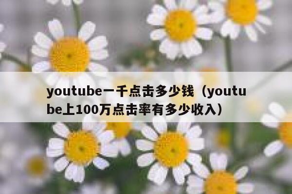 youtube一千点击多少钱（youtube上100万点击率有多少收入） 第1张