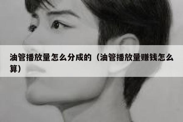 油管播放量怎么分成的（油管播放量赚钱怎么算） 第1张