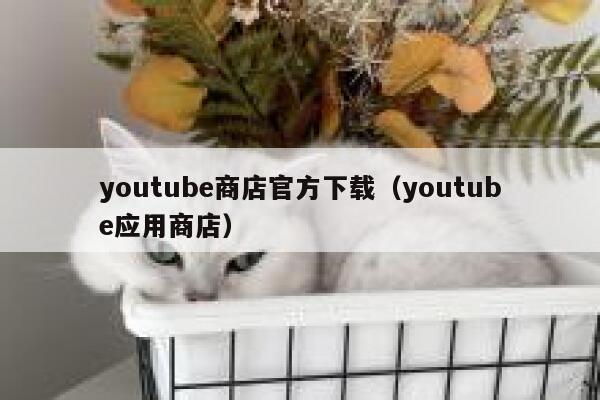 youtube商店官方下载（youtube应用商店） 第1张