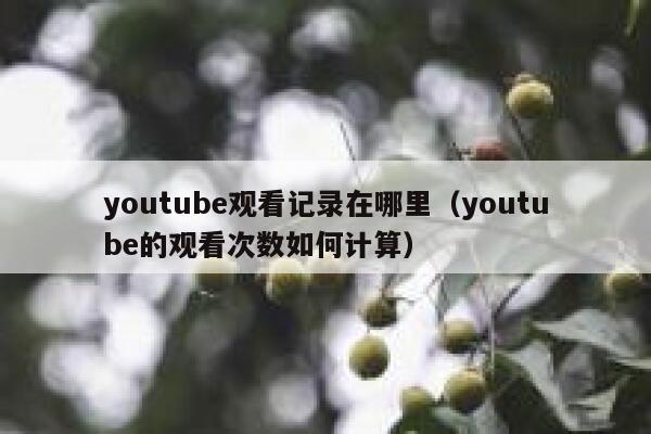youtube观看记录在哪里(youtube的观看次数如何计算) 第1张 youtube观看记录在哪里(youtube的观看次数如何计算) 第1张