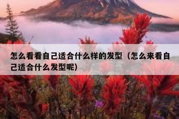怎么看看自己适合什么样的发型（怎么来看自己适合什么发型呢） 第1张