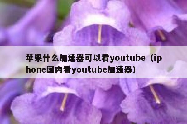 苹果什么加速器可以看youtube（iphone国内看youtube加速器） 第1张