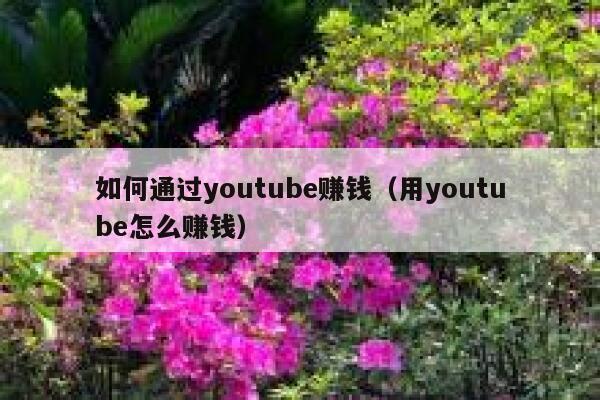 如何通过youtube赚钱（用youtube怎么赚钱） 第1张