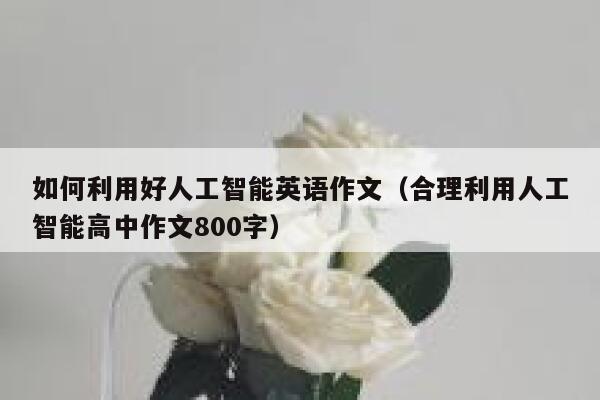 如何利用好人工智能英语作文(合理利用人工智能高中作文800字) 第1张 如何利用好人工智能英语作文(合理利用人工智能高中作文800字) 第1张