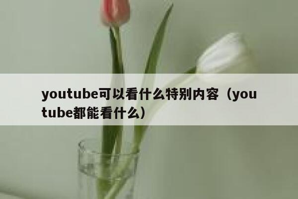 youtube可以看什么特别内容（youtube都能看什么） 第1张