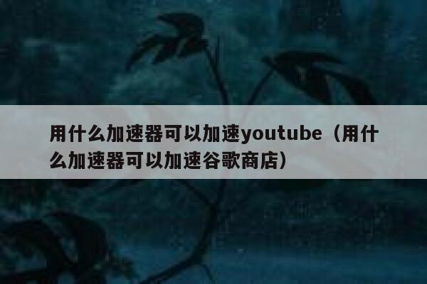 用什么加速器可以加速youtube（用什么加速器可以加速谷歌商店） 第1张