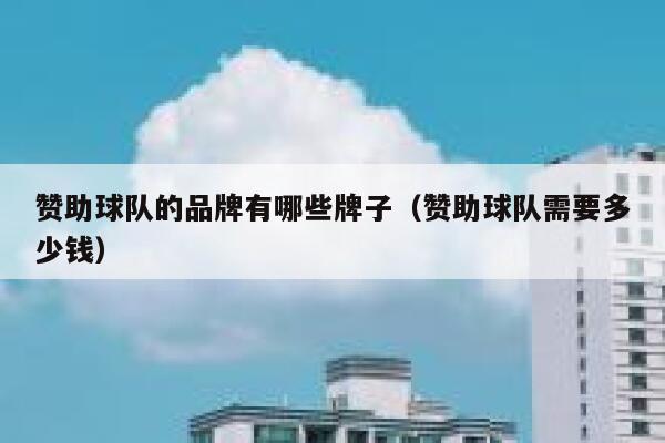 赞助球队的品牌有哪些牌子（赞助球队需要多少钱） 第1张