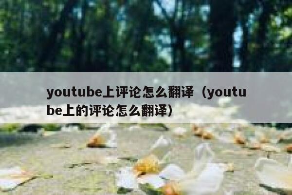 youtube上评论怎么翻译（youtube上的评论怎么翻译） 第1张