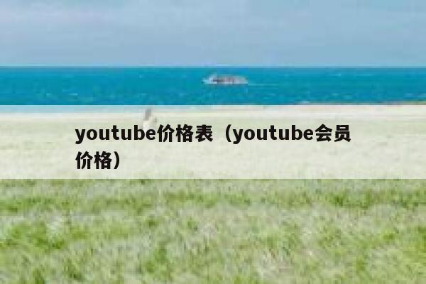 youtube价格表(youtube会员价格) 第1张 youtube价格表(youtube会员价格) 第1张