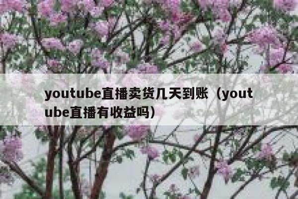 youtube直播卖货几天到账(youtube直播有收益吗) 第1张 youtube直播卖货几天到账(youtube直播有收益吗) 第1张