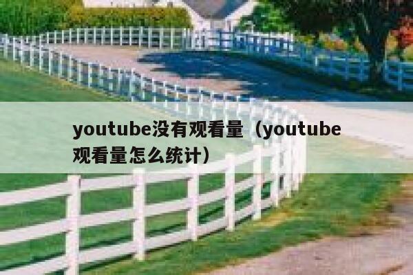youtube没有观看量（youtube观看量怎么统计） 第1张