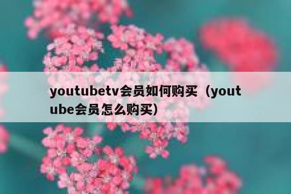 youtubetv会员如何购买（youtube会员怎么购买） 第1张