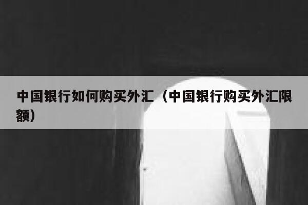 中国银行如何购买外汇（中国银行购买外汇限额） 第1张