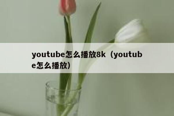 youtube怎么播放8k（youtube怎么播放） 第1张