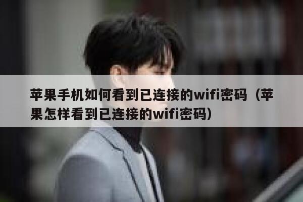 苹果手机如何看到已连接的wifi密码（苹果怎样看到已连接的wifi密码） 第1张