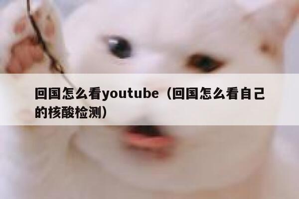 回国怎么看youtube(回国怎么看自己的核酸检测) 第1张 回国怎么看youtube(回国怎么看自己的核酸检测) 第1张