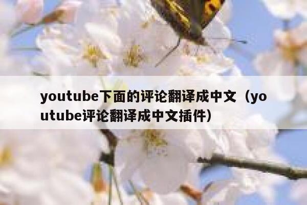 youtube下面的评论翻译成中文（youtube评论翻译成中文插件） 第1张