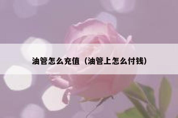 油管怎么充值(油管上怎么付钱) 第1张 油管怎么充值(油管上怎么付钱) 第1张