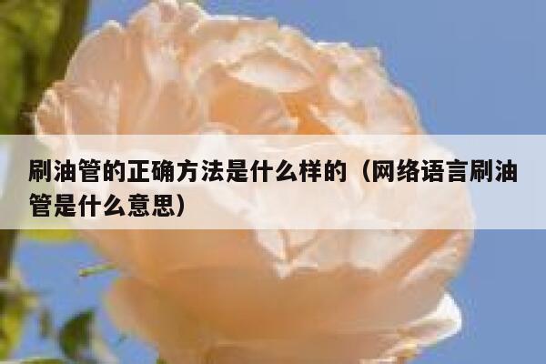刷油管的正确方法是什么样的(网络语言刷油管是什么意思) 第1张 刷油管的正确方法是什么样的(网络语言刷油管是什么意思) 第1张