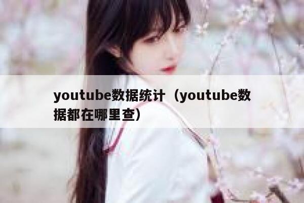 youtube数据统计(youtube数据都在哪里查) 第1张 youtube数据统计(youtube数据都在哪里查) 第1张