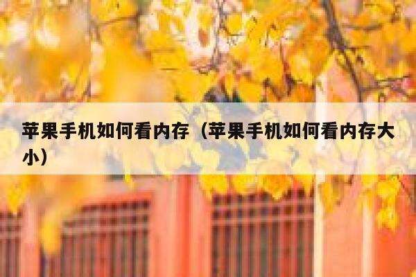 苹果手机如何看内存(苹果手机如何看内存大小) 第1张 苹果手机如何看内存(苹果手机如何看内存大小) 第1张