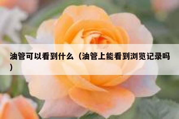 油管可以看到什么(油管上能看到浏览记录吗) 第1张 油管可以看到什么(油管上能看到浏览记录吗) 第1张