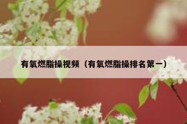 有氧燃脂操视频（有氧燃脂操排名第一） 第1张