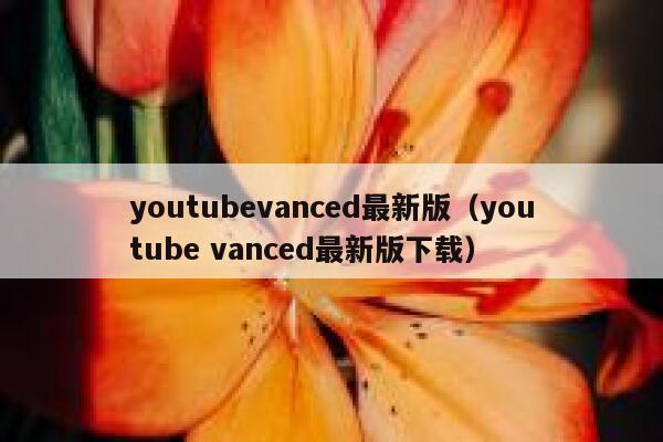 youtubevanced最新版（youtube vanced最新版下载） 第1张